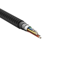 Next Gen Kabel USB - C PD 100W (3m) Black - Xtorm NL